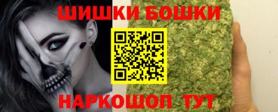 индика Моздок