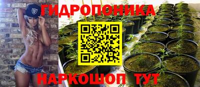первитин Можга