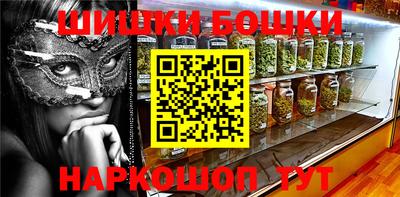 индика Моздок