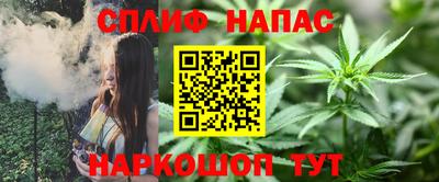 индика Моздок
