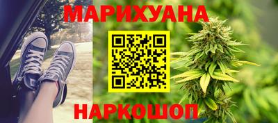 индика Моздок