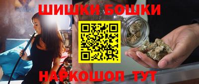 индика Моздок
