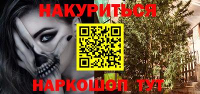 индика Моздок
