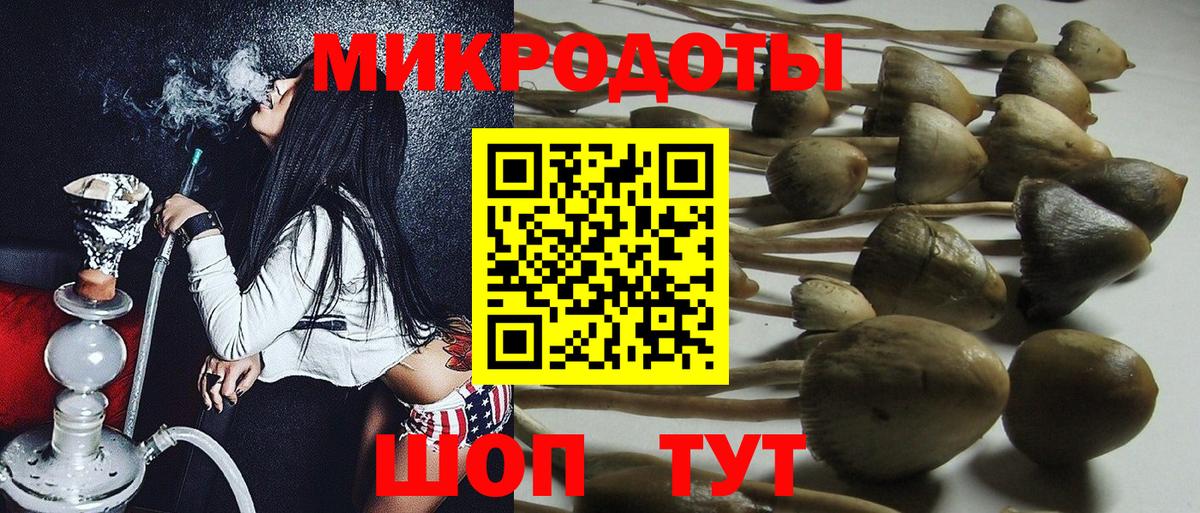 Галлюциногенные грибы Psilocybe Видное