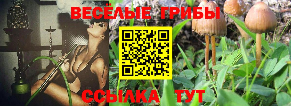 Видное  Галлюциногенные грибы Cubensis  Вход с VPN 